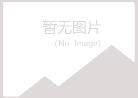 河池妩媚工程有限公司